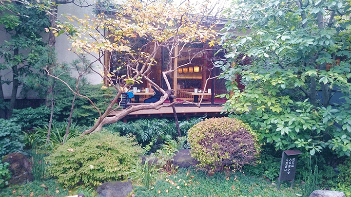 東京染井温泉SAKURAの日本庭園